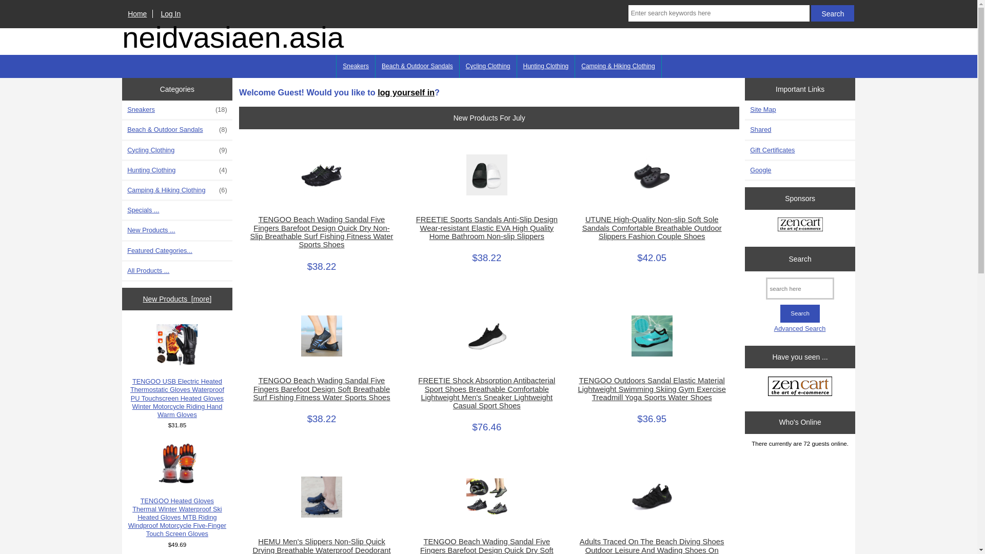 website screenshot of https://neidvasiaen.asia/
