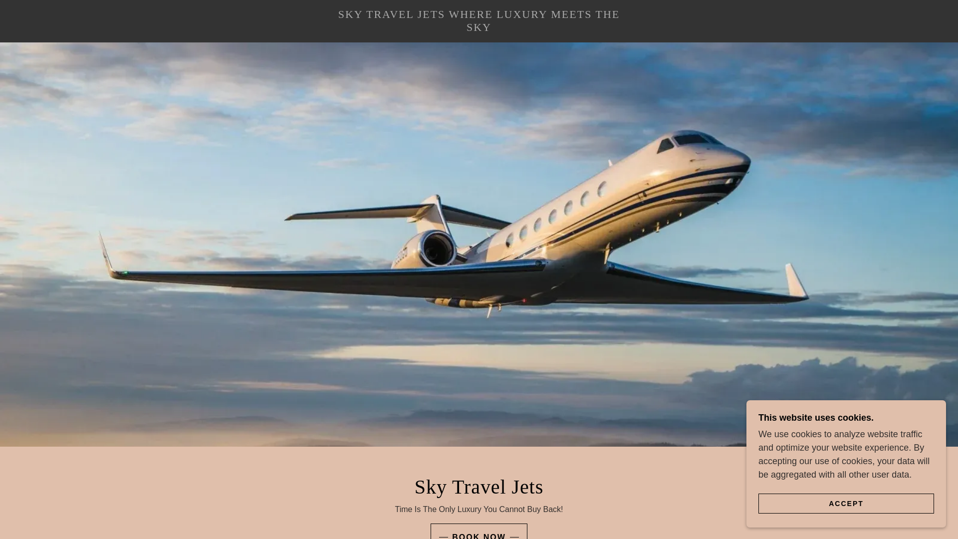 website screenshot of https://skytraveljets.net/
