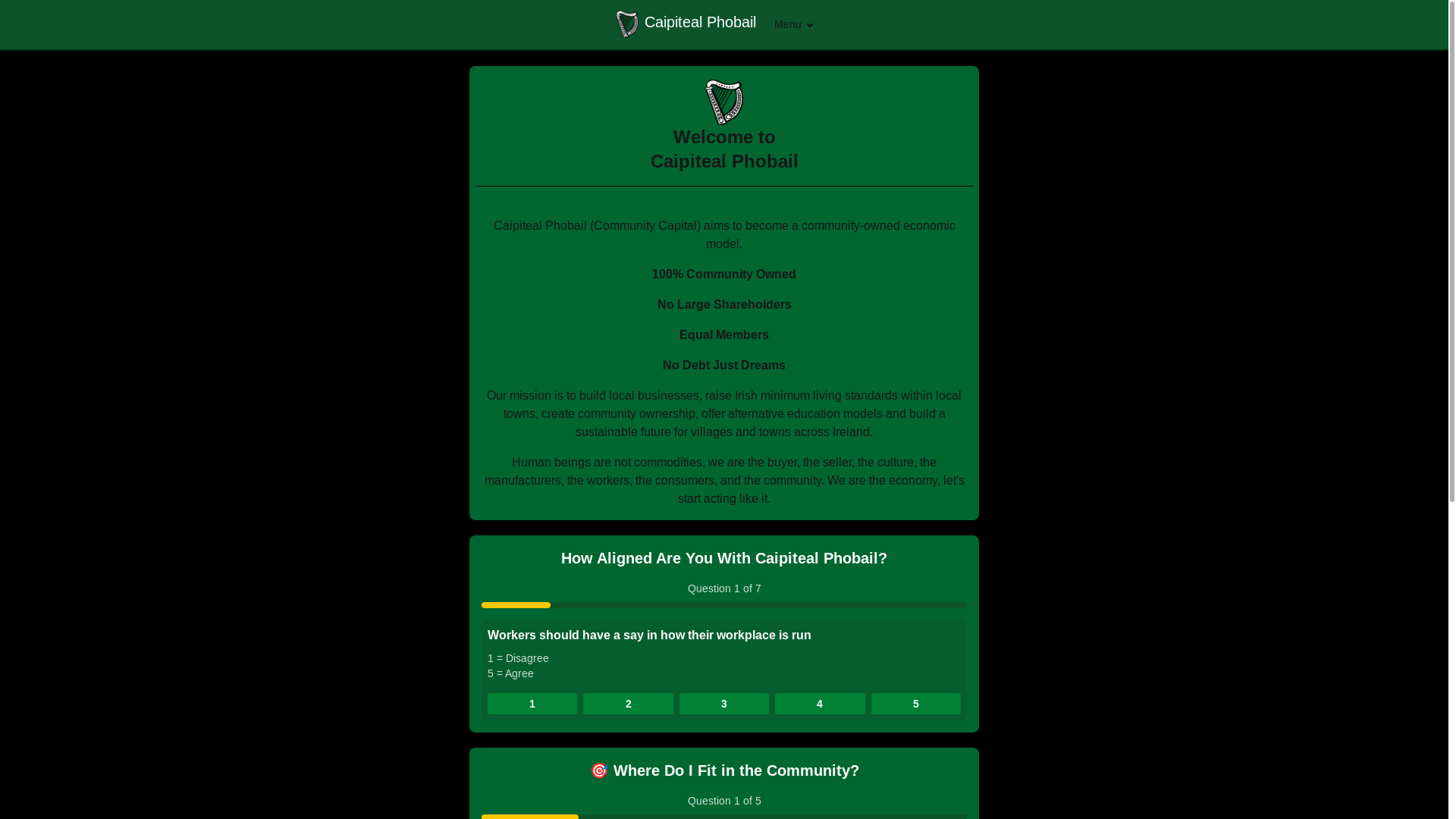 website screenshot of https://caipiteal.ie/