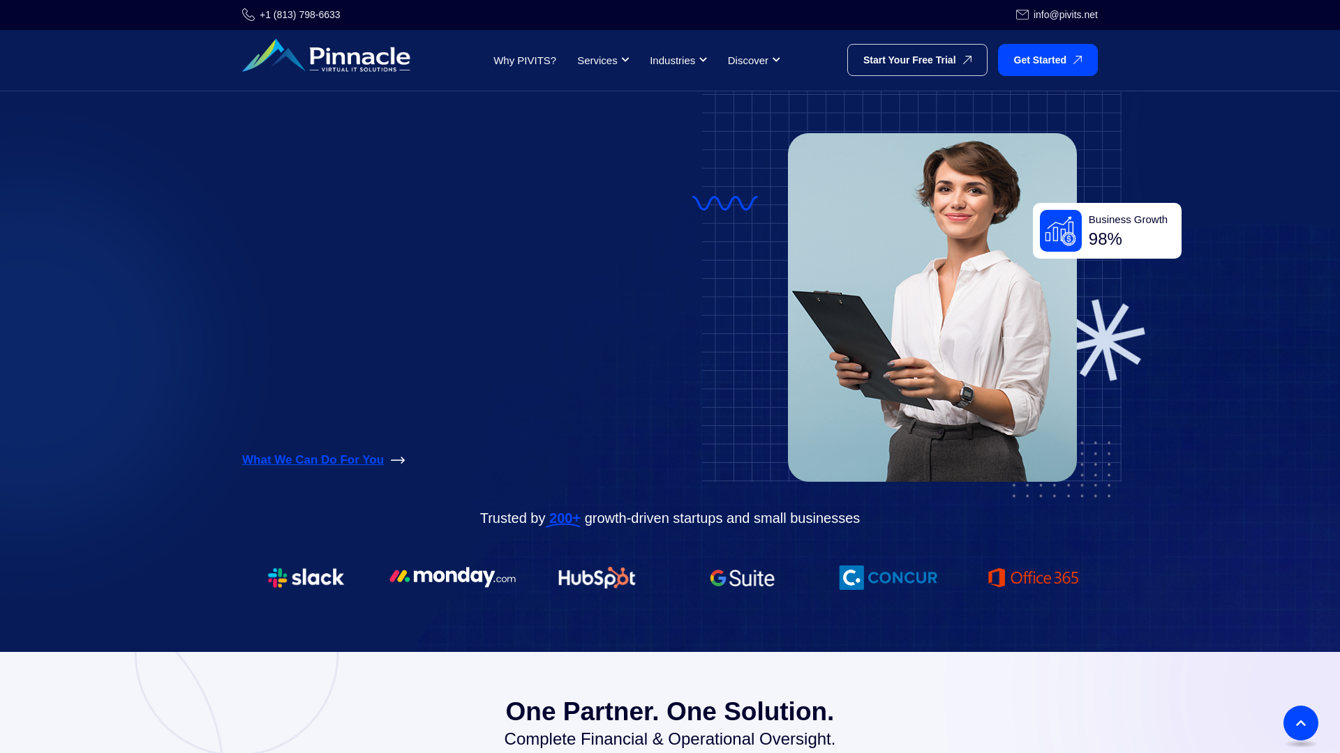website screenshot of https://teampivits.com