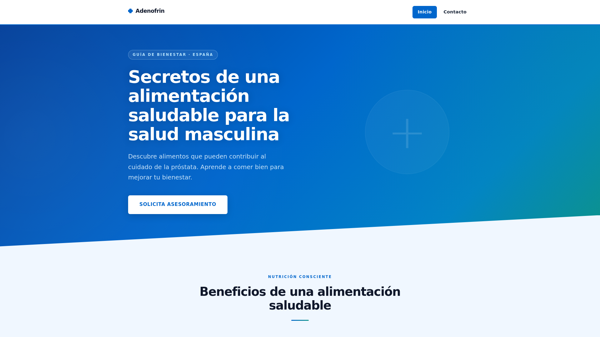 website screenshot of https://adenofrin-sp.space/