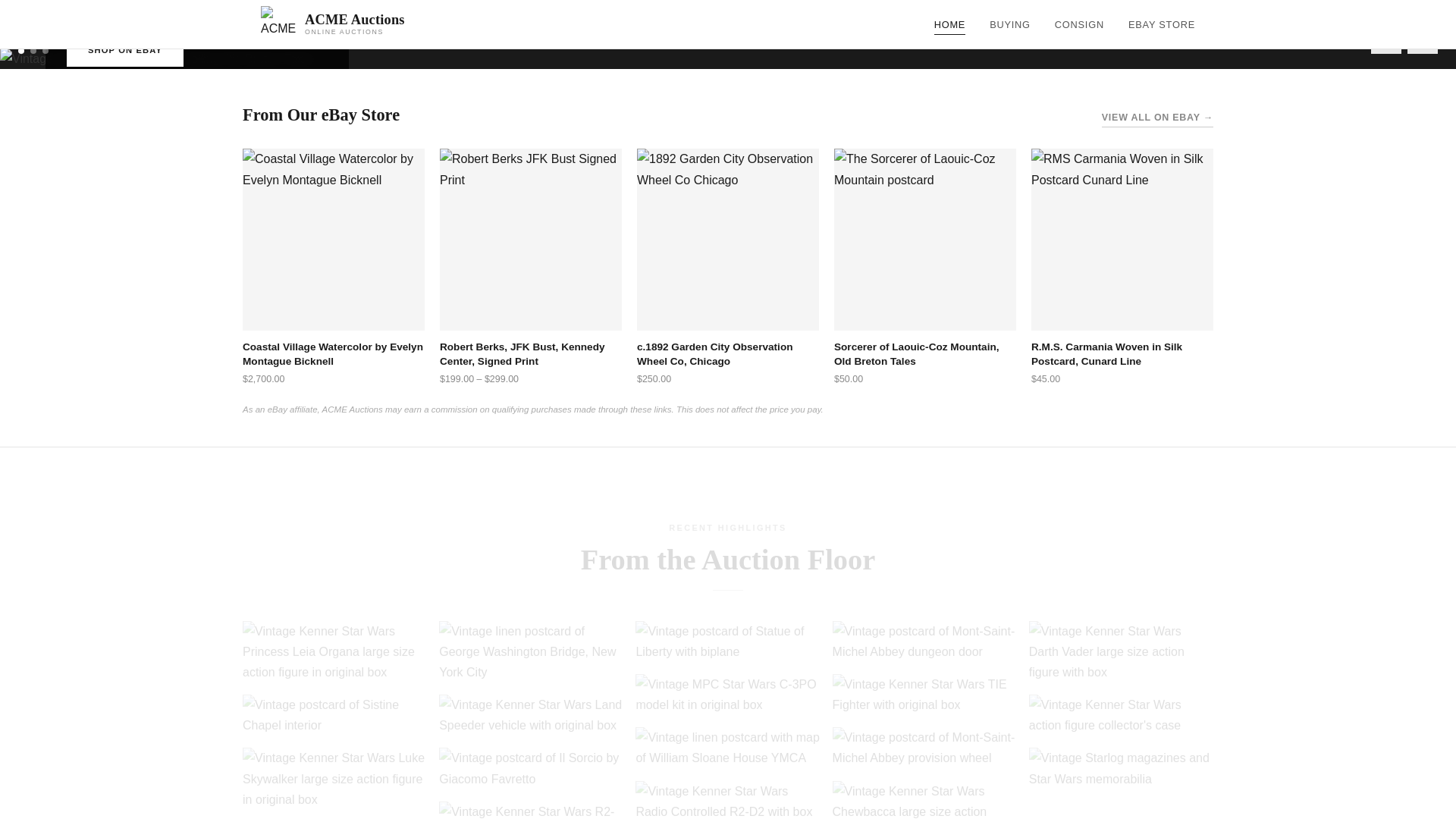 website screenshot of https://acme-auctions-live.pages.dev/