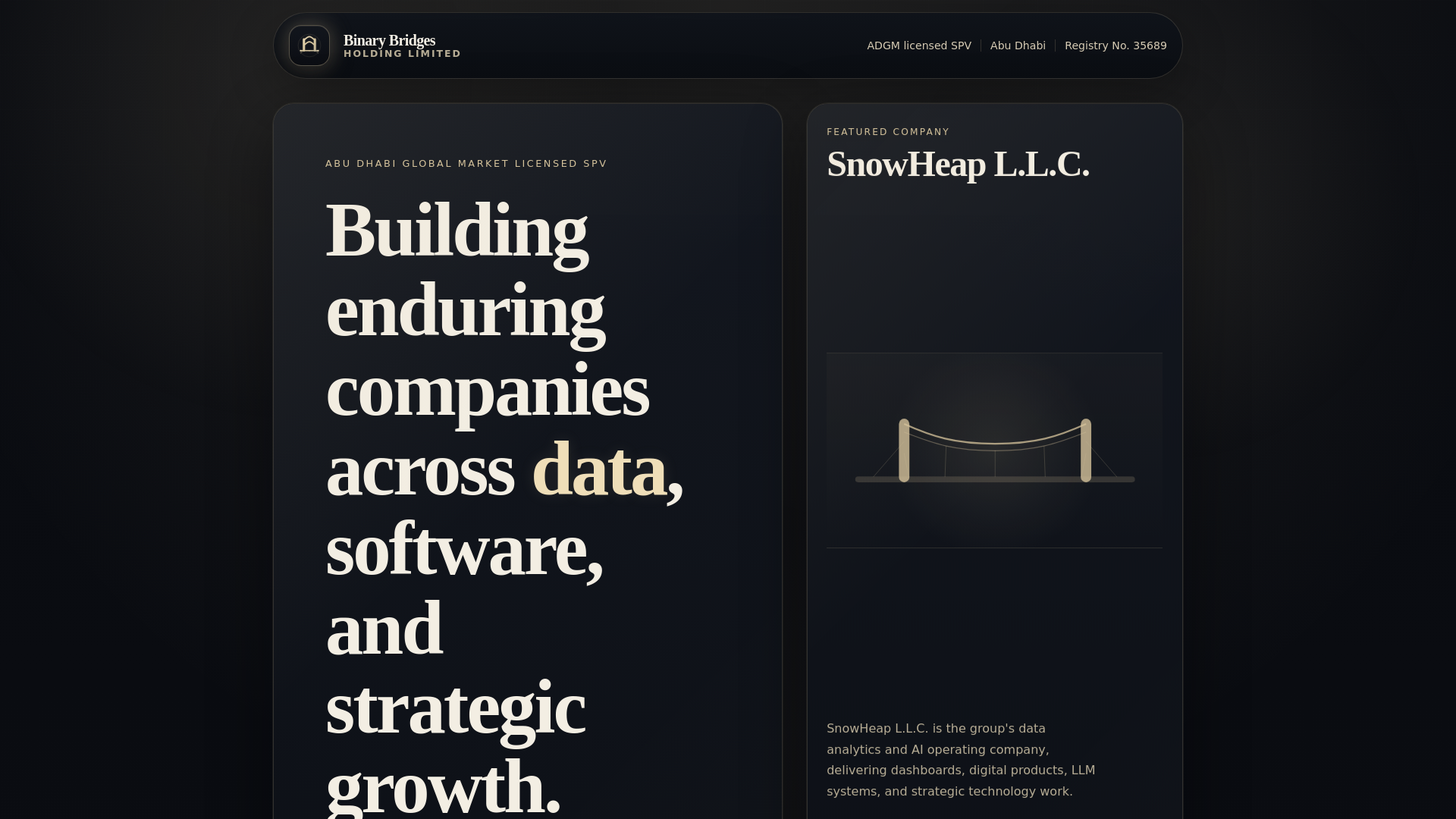 website screenshot of https://binarybridges.ai