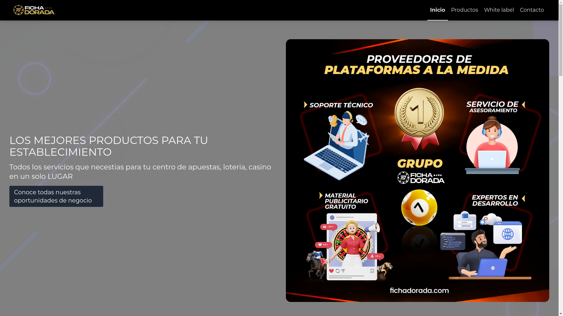 website screenshot of https://agente-fichadorada-com.pages.dev/