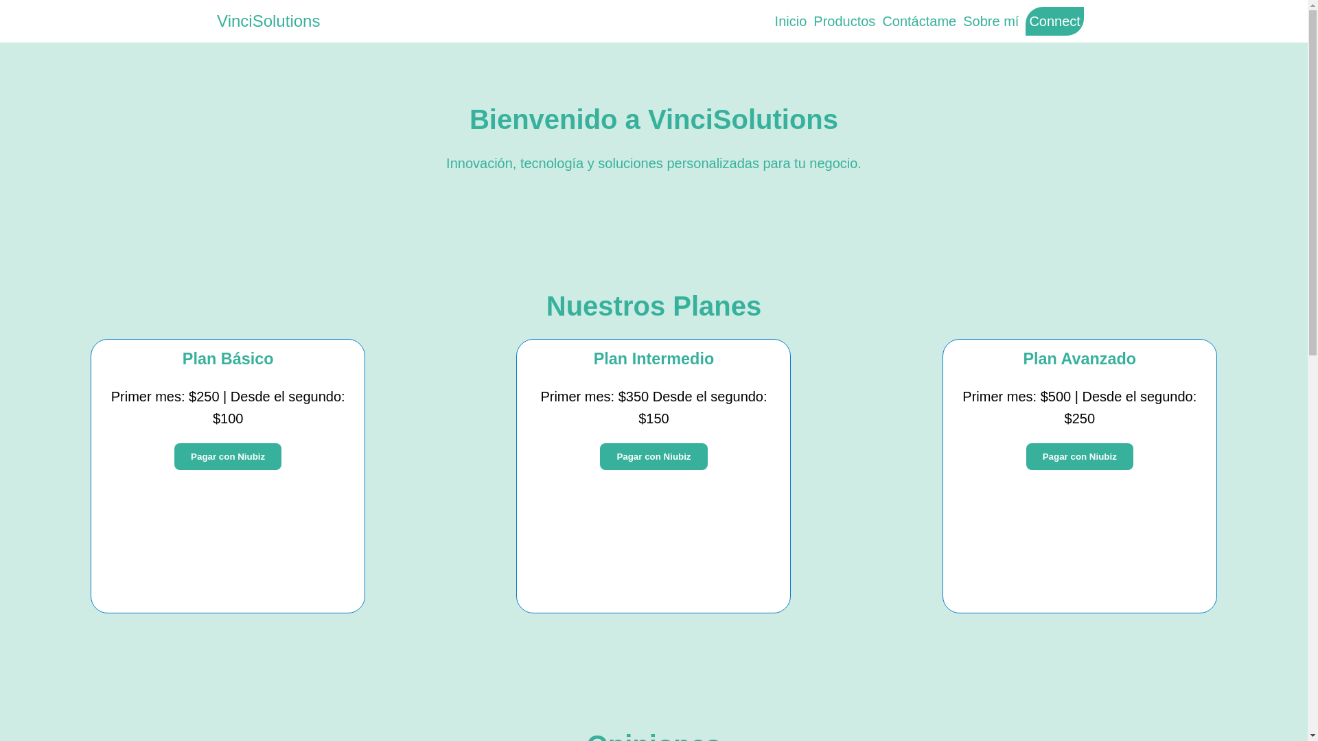 website screenshot of https://vincisolutions.xyz/