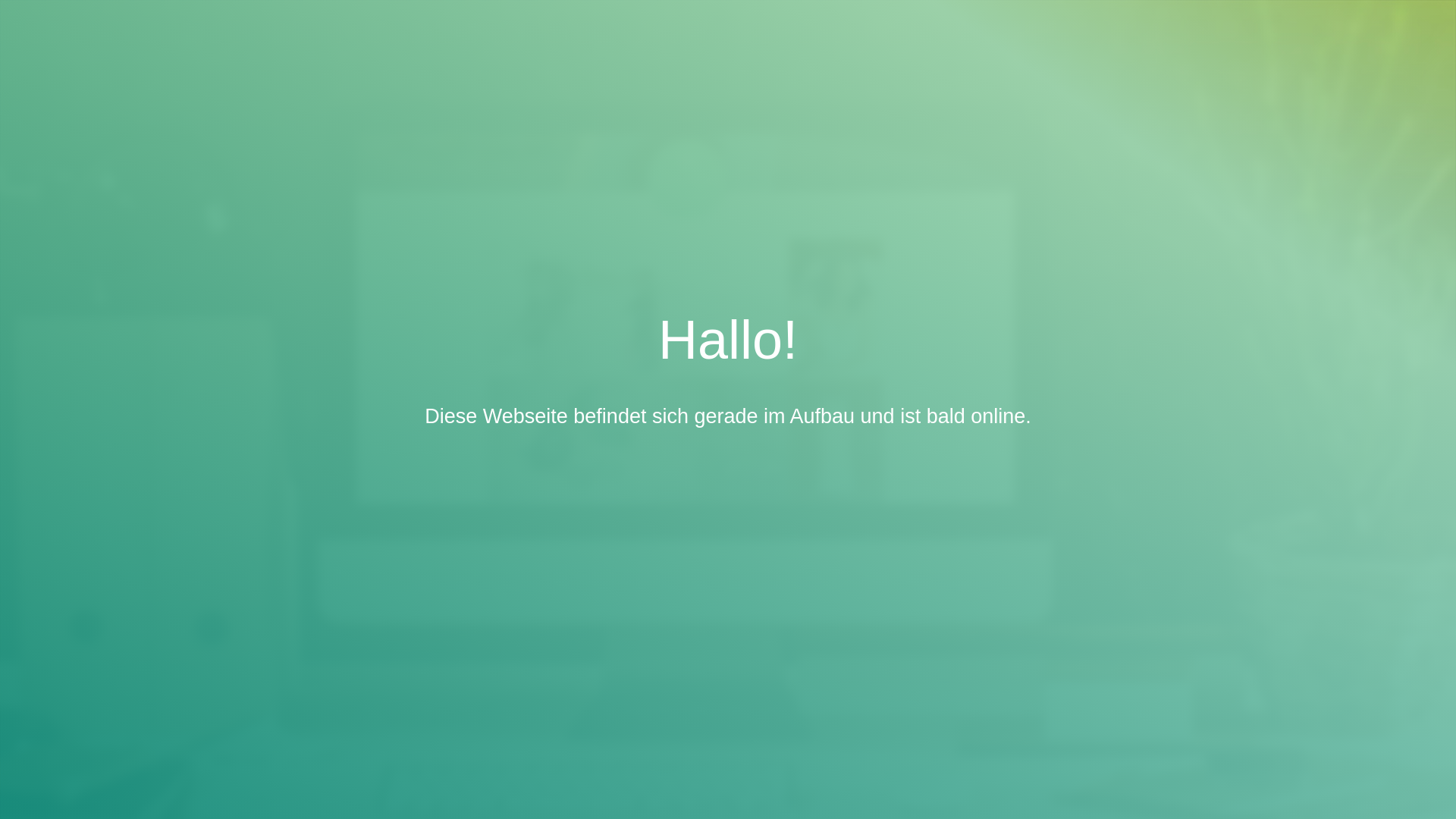 website screenshot of https://ts-survey-consulting.de/