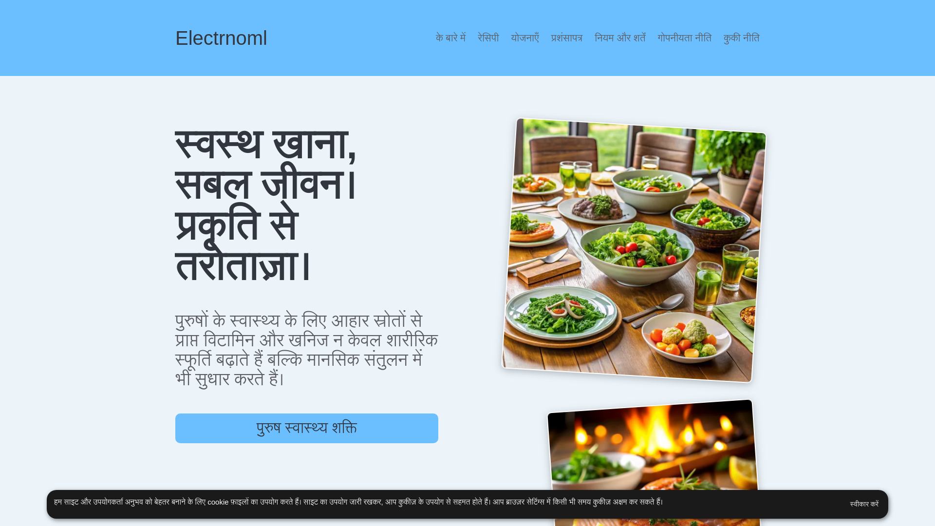 website screenshot of https://electrnoml.shop/