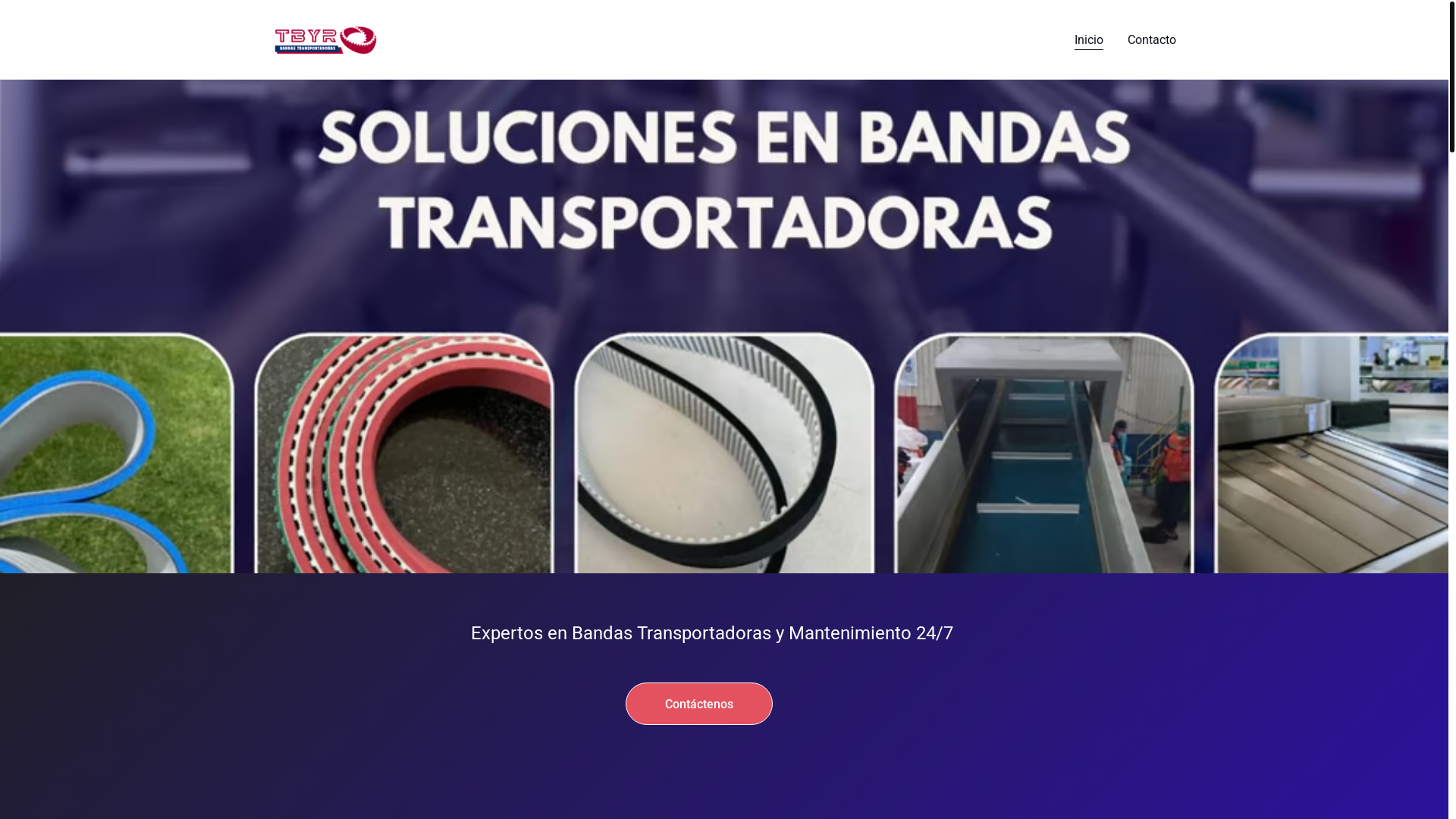 website screenshot of https://transportadoresybandasmx.com.mx/