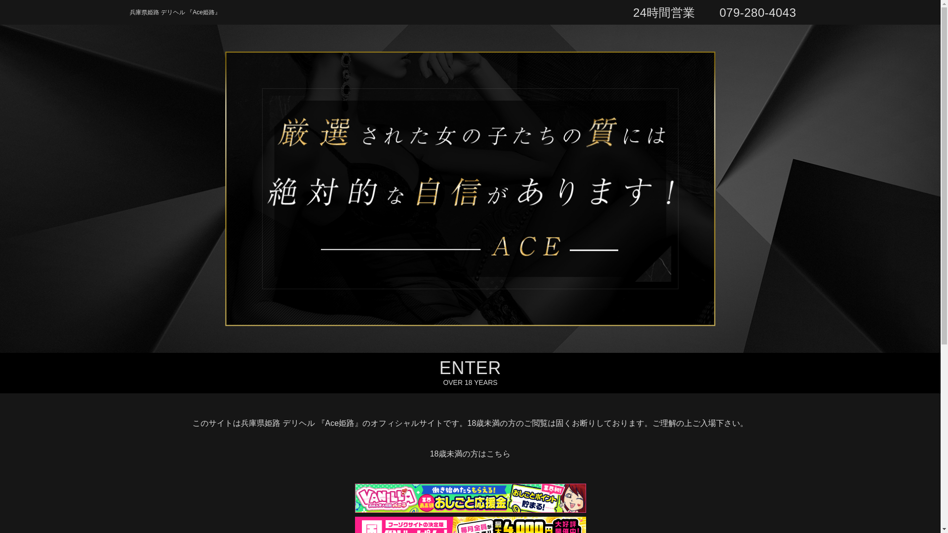 website screenshot of https://acehimeji-deli.com/