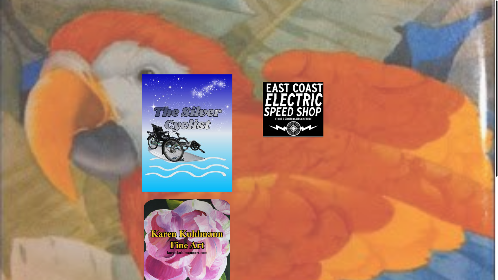 website screenshot of https://the-silver-cyclist.com/