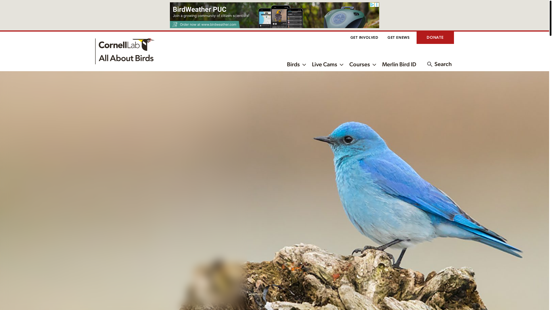 website screenshot of https://nightingalehq.xyz/