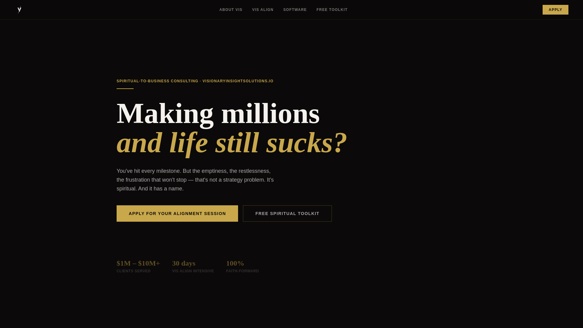 website screenshot of https://visionaryinsightsolutions.io