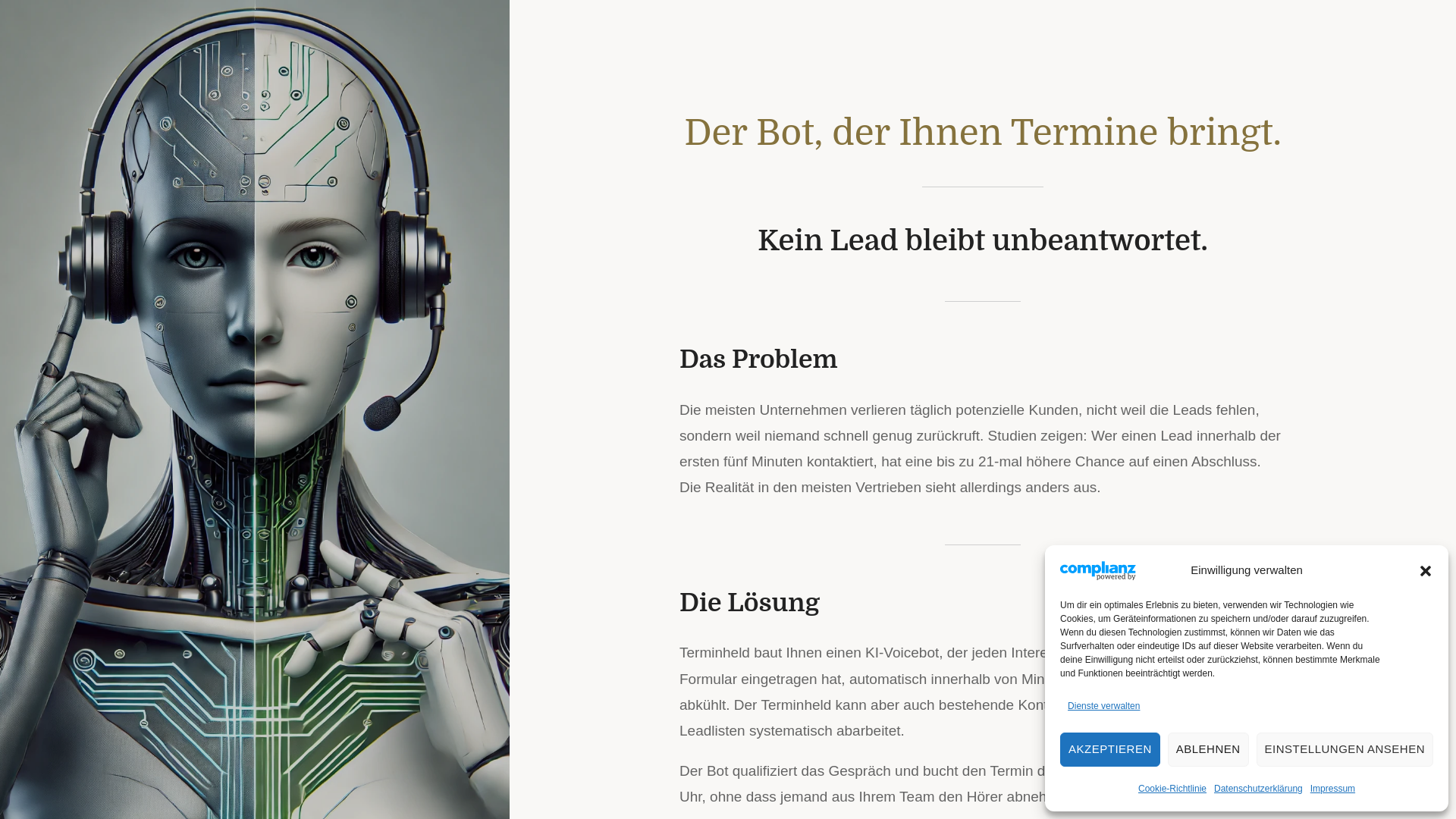 website screenshot of https://terminheld.top