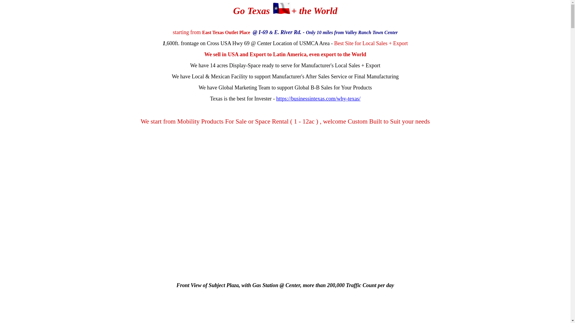 website screenshot of https://gotexas.world/