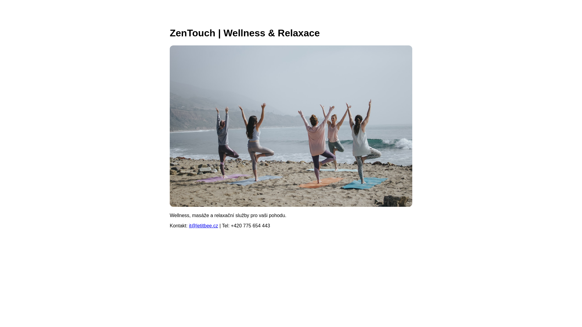 website screenshot of https://zentouch.ooo