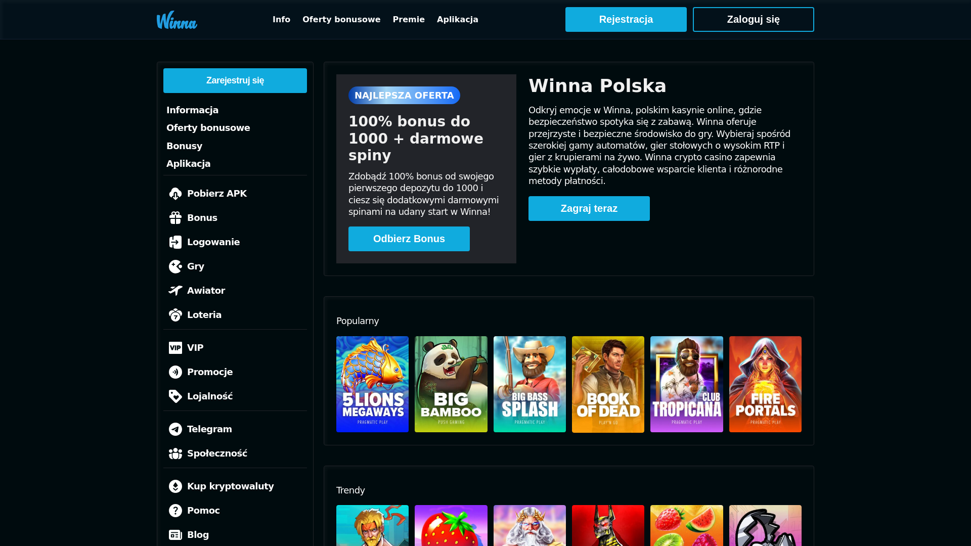 website screenshot of https://winnapolska-com.pages.dev/