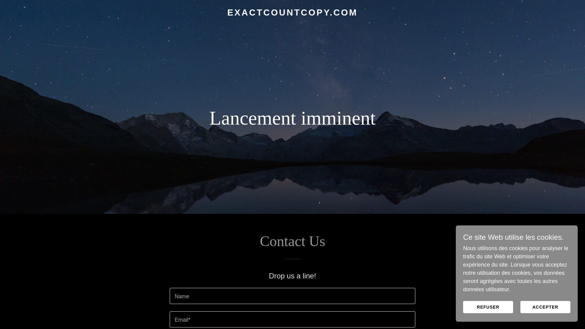 website screenshot of https://exactcountcopy.com/