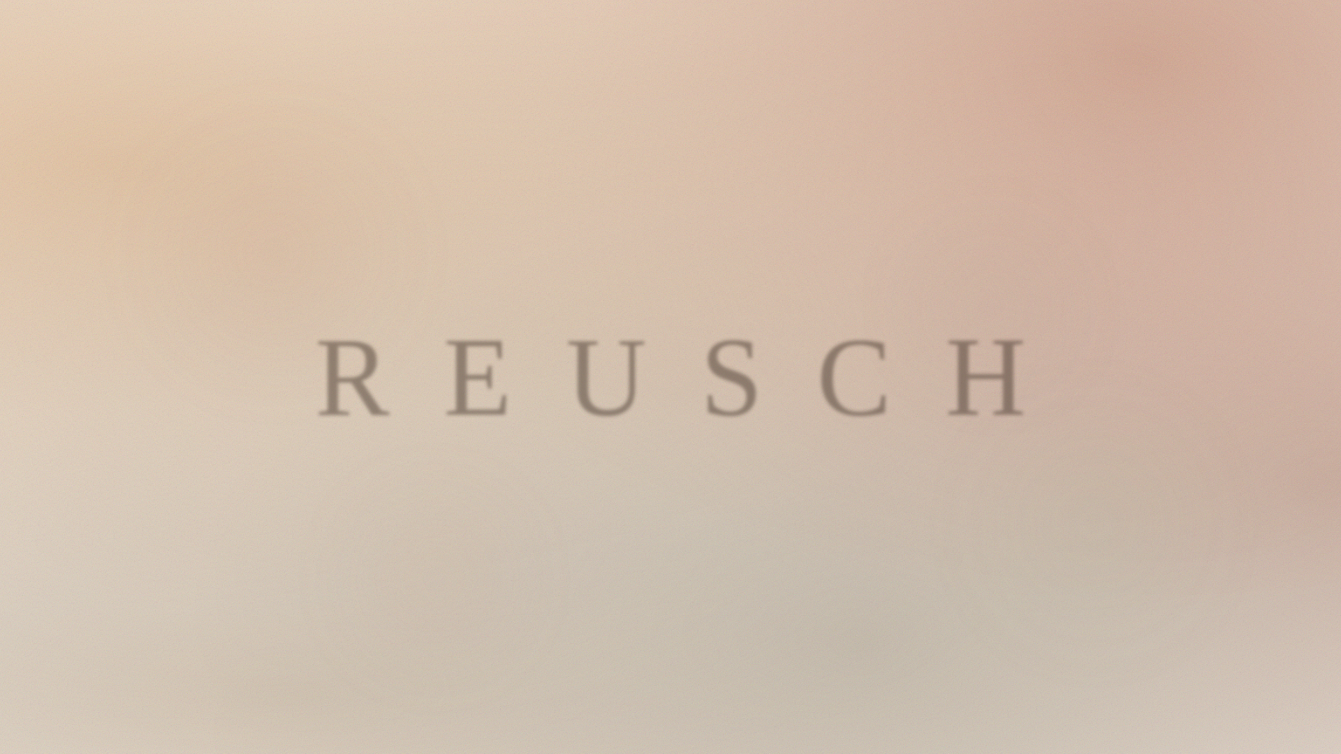 website screenshot of https://reusch-no.pages.dev/