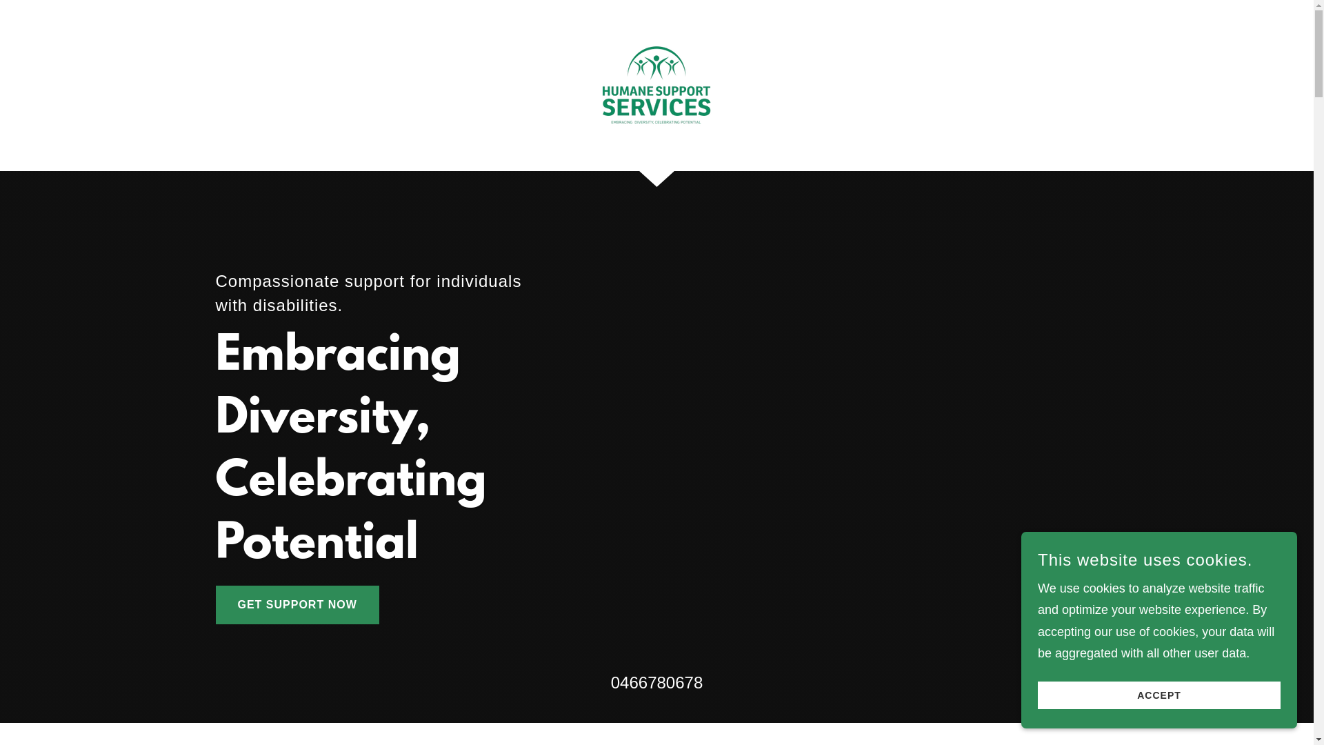 website screenshot of https://humanesupportservices.com.au/