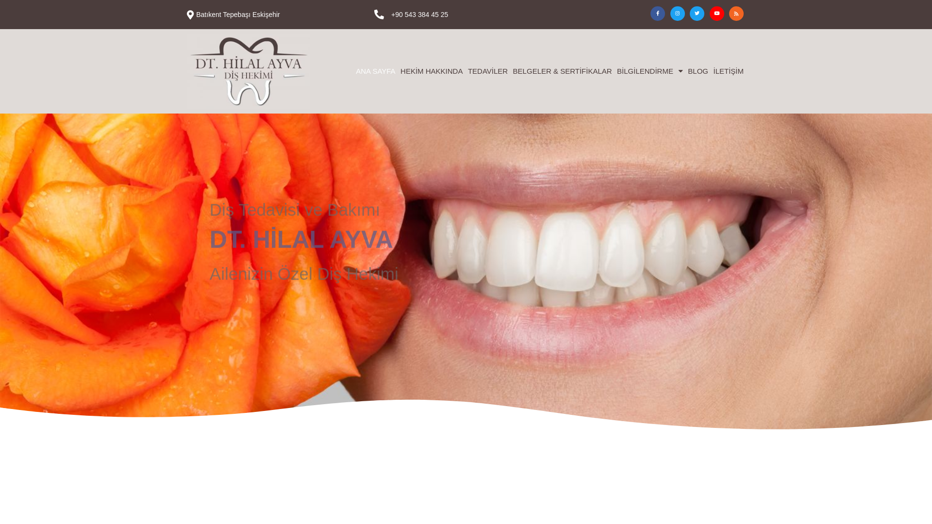 website screenshot of https://dishekimihilalayva.com