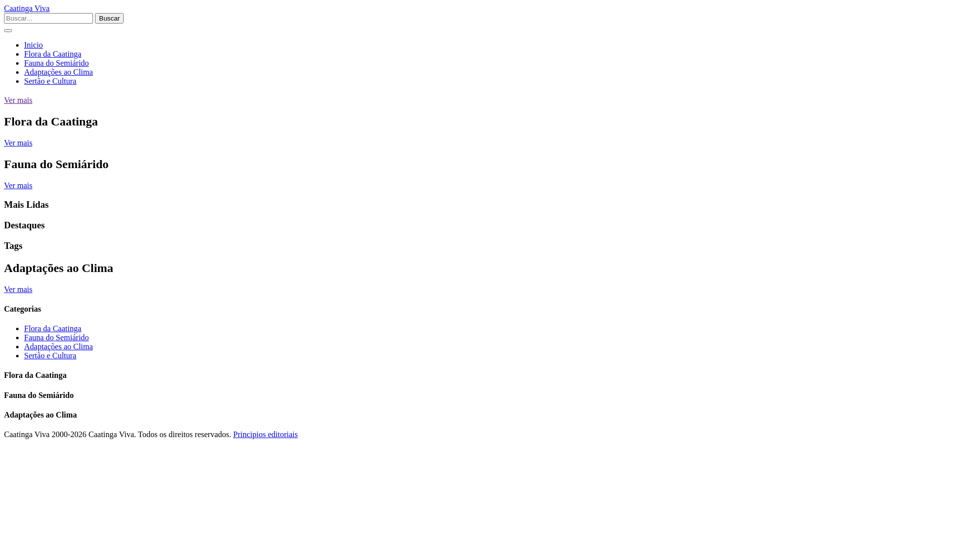 website screenshot of https://ticaatingaviva.com/