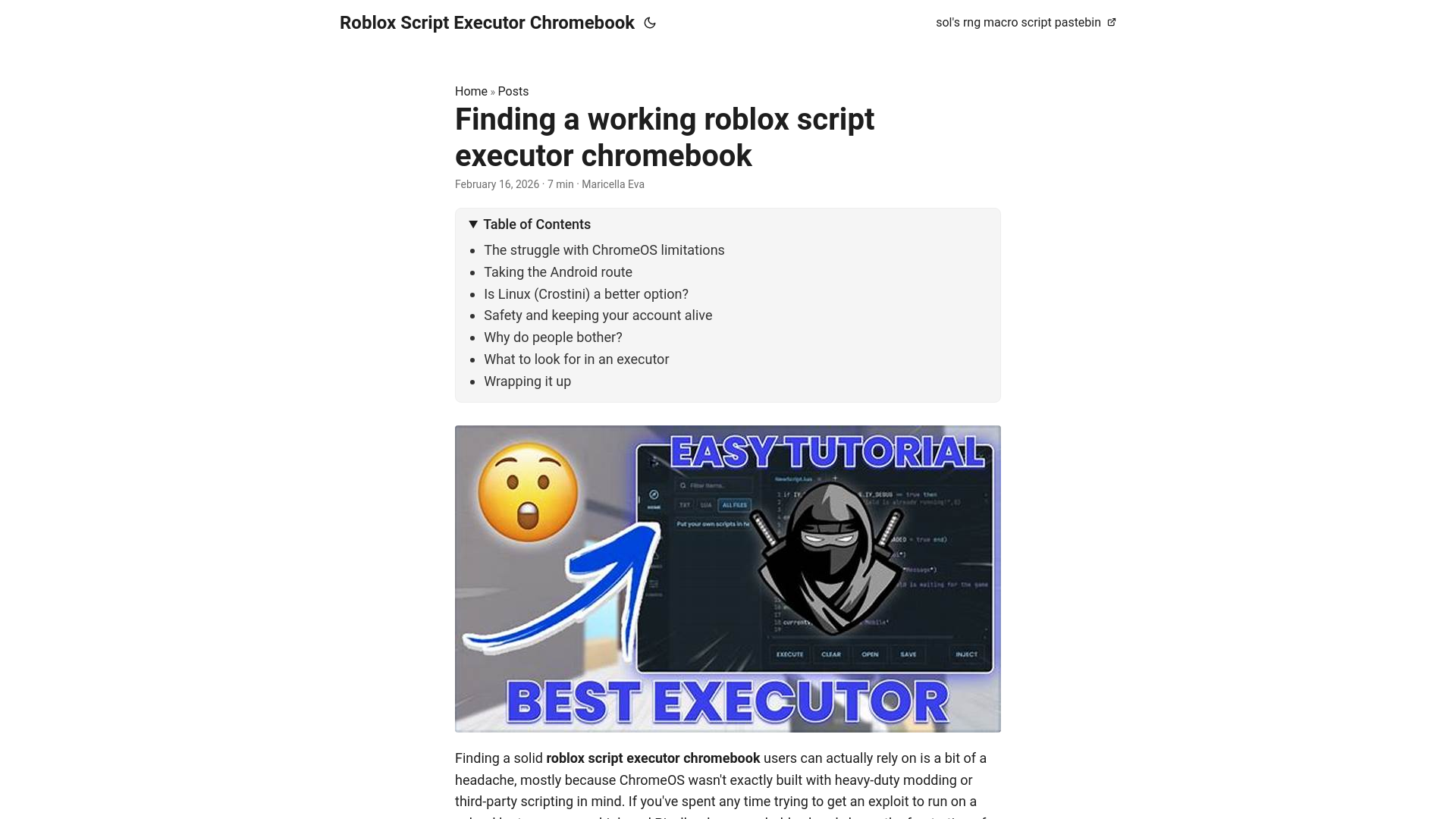 website screenshot of https://roblox-script-executor-chromebook.pages.dev/