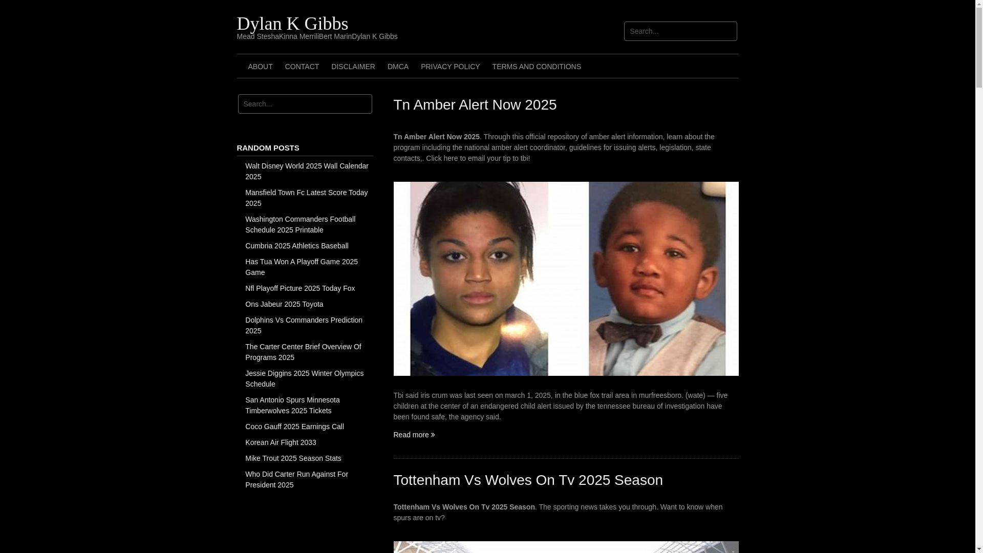 website screenshot of https://dylankgibbs.pages.dev/