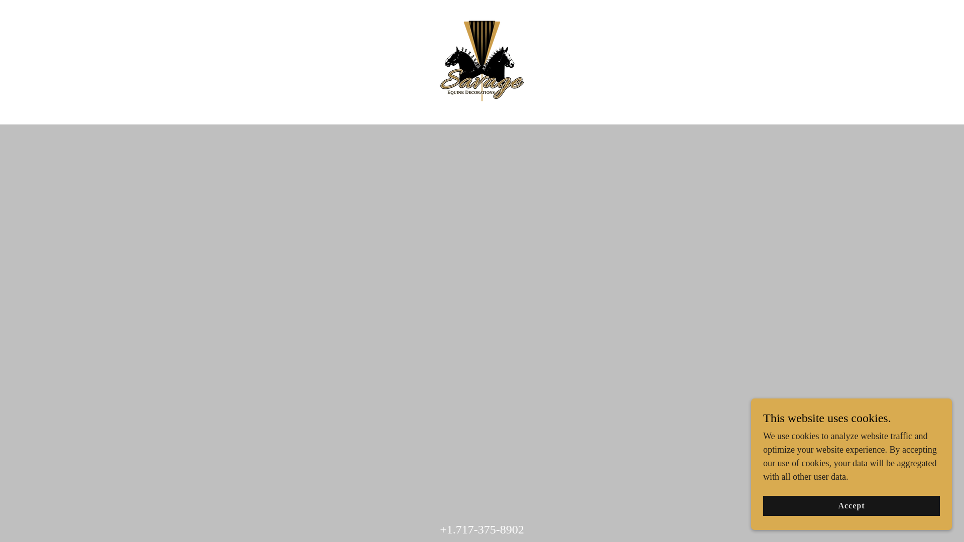 website screenshot of https://savageequinedecorations.com/