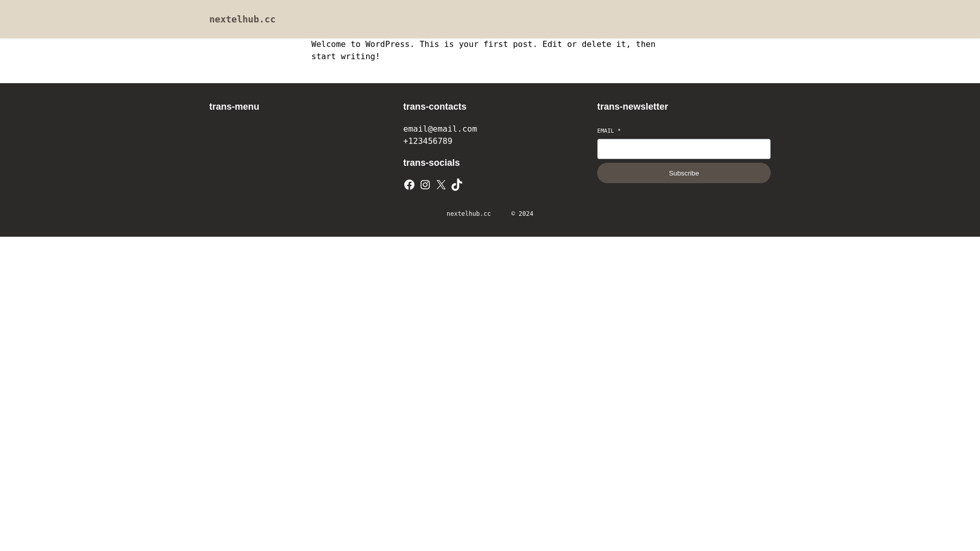 website screenshot of https://nextelhub.cc/