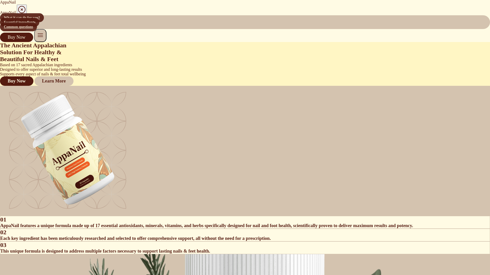 website screenshot of https://apa-bg-6qm.pages.dev/