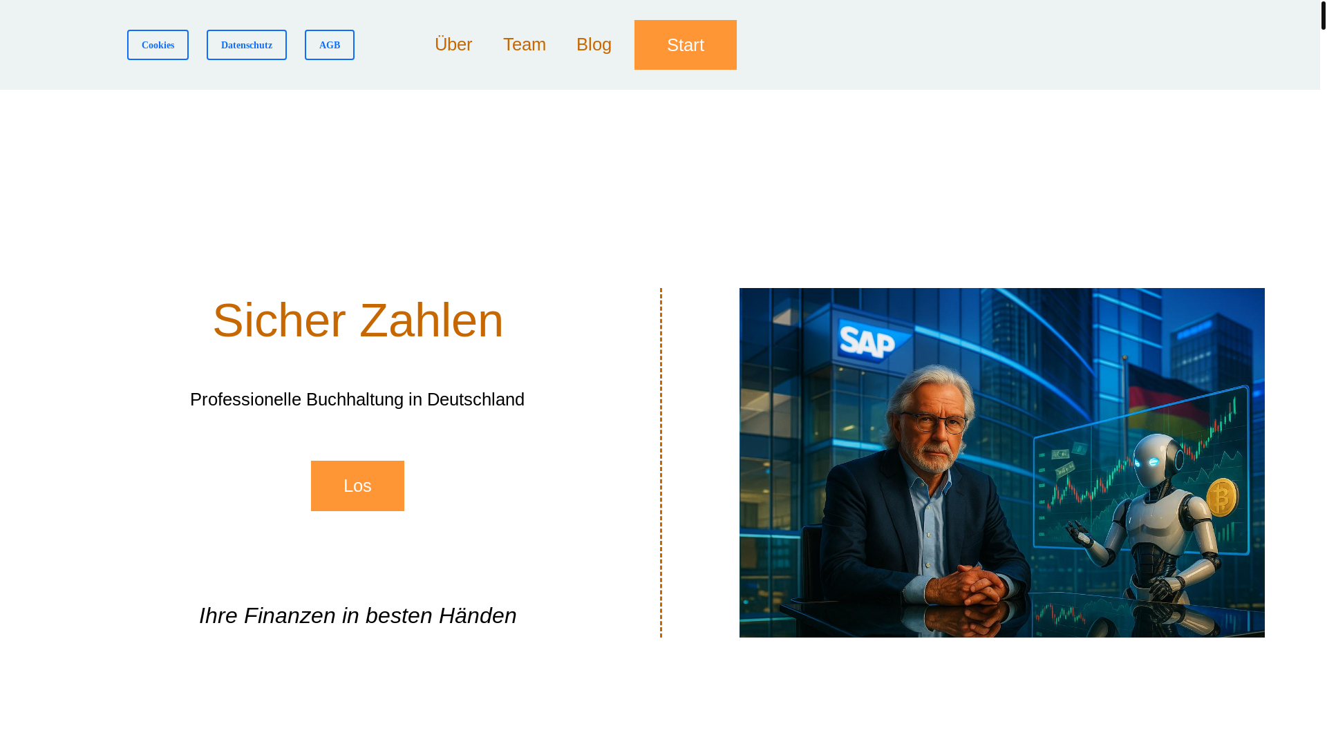 website screenshot of https://steurenhelder.com/