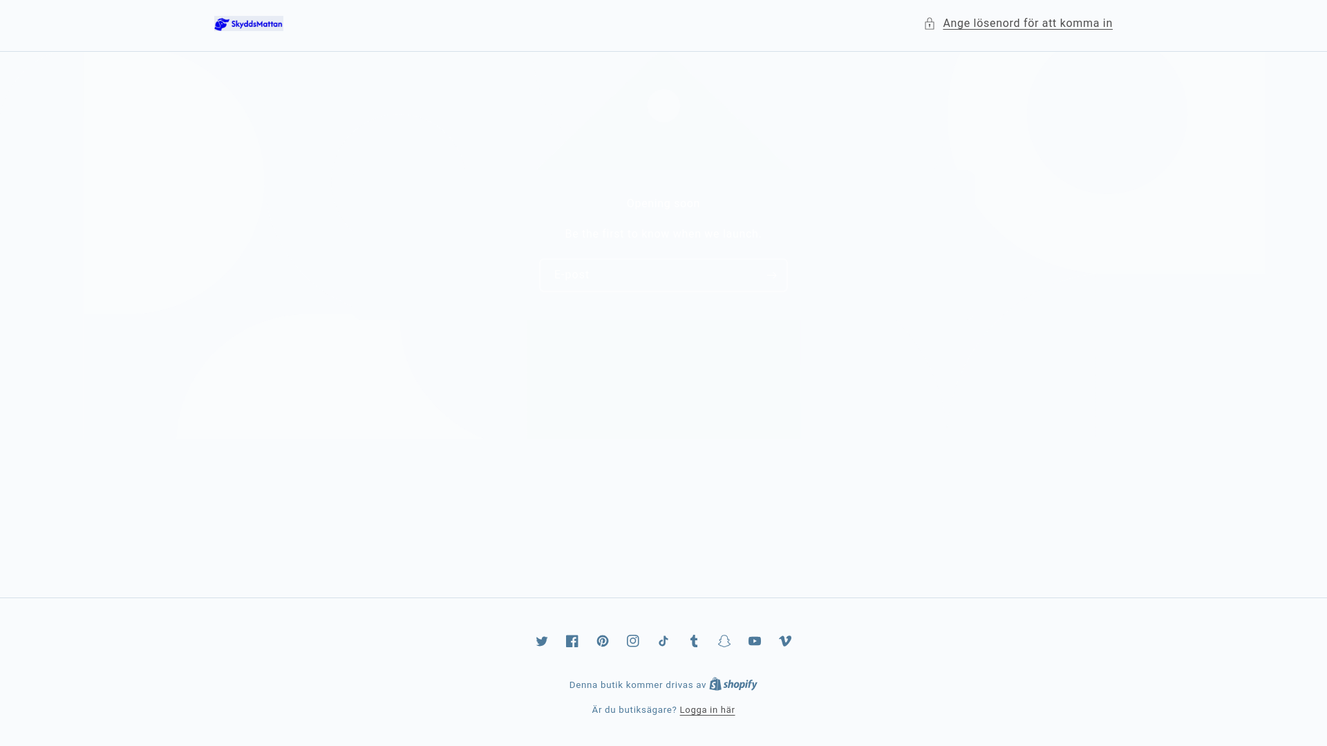 website screenshot of https://skyddsmattan.store/