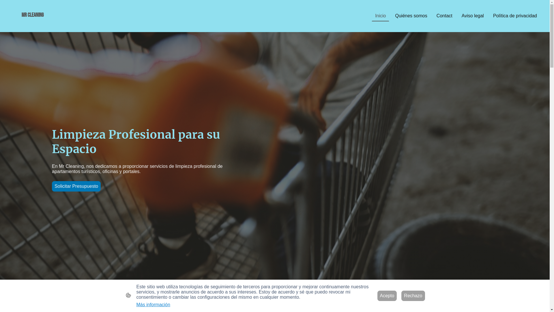 website screenshot of https://mr-cleaning.es/