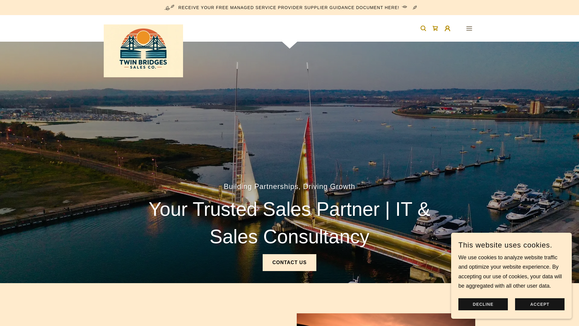 website screenshot of https://twinbridges.uk/