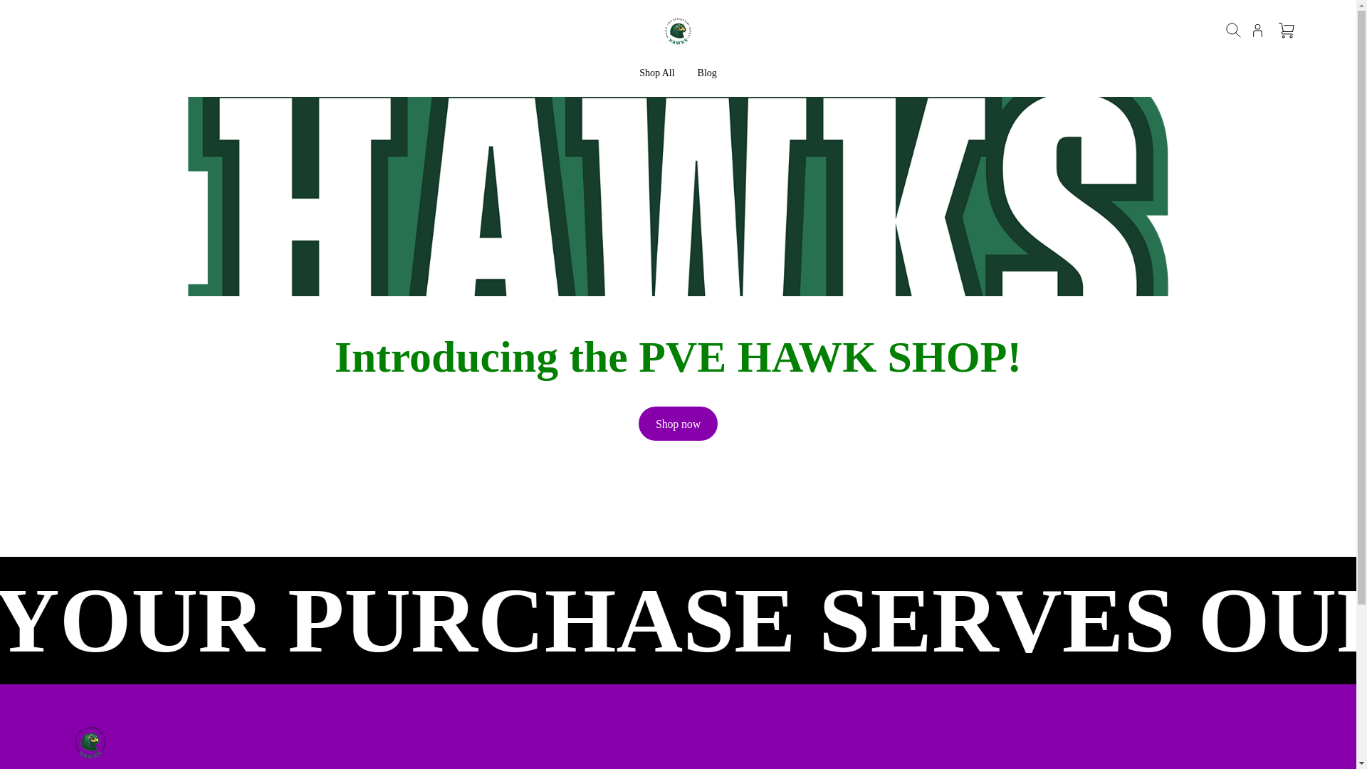 website screenshot of https://pvehawkshop.com/