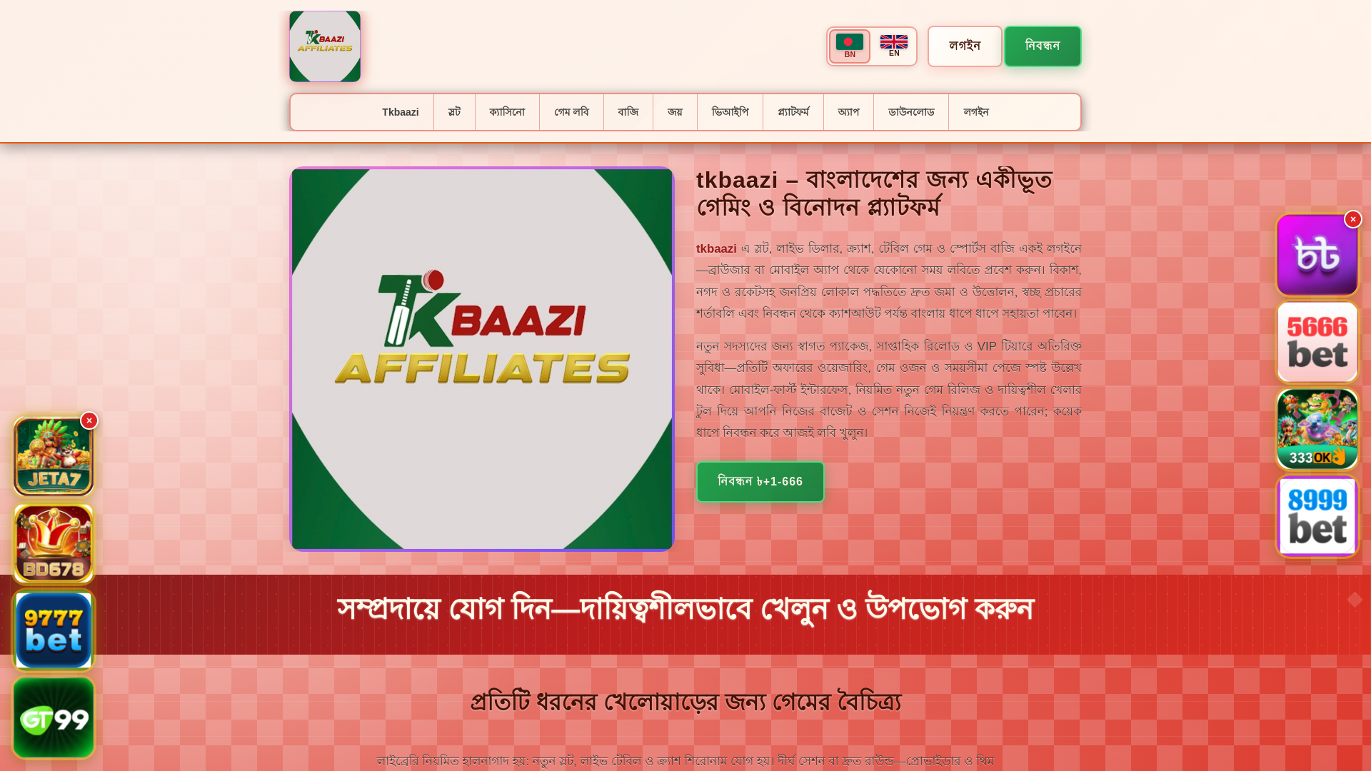 website screenshot of https://tkbaazitin.com/