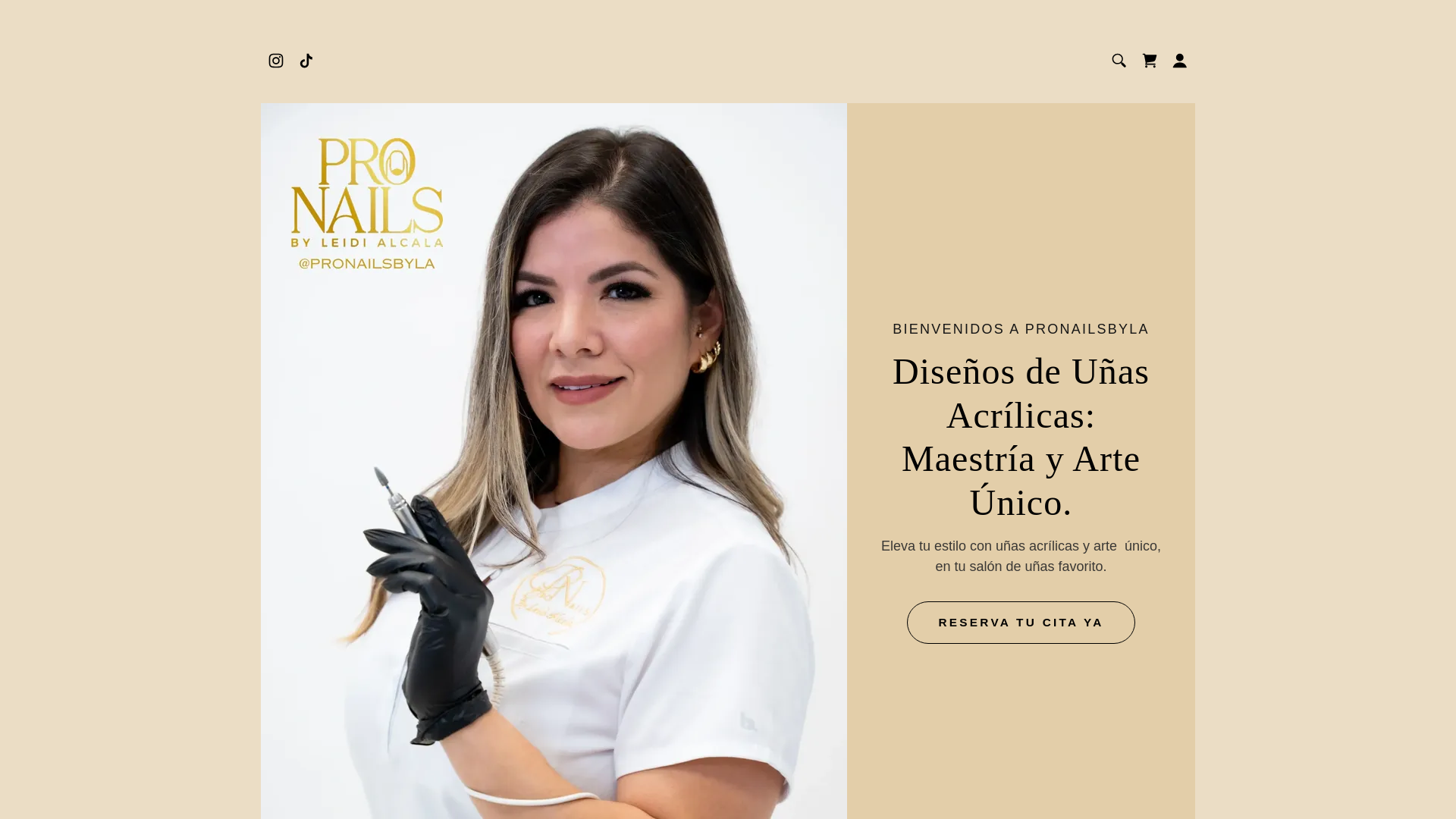 website screenshot of https://pronailsbyla.com/