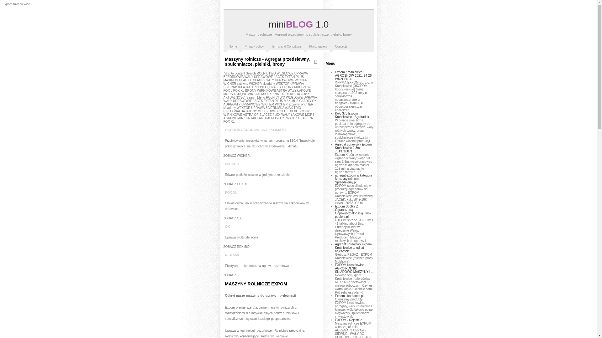 website screenshot of https://manypl.top/