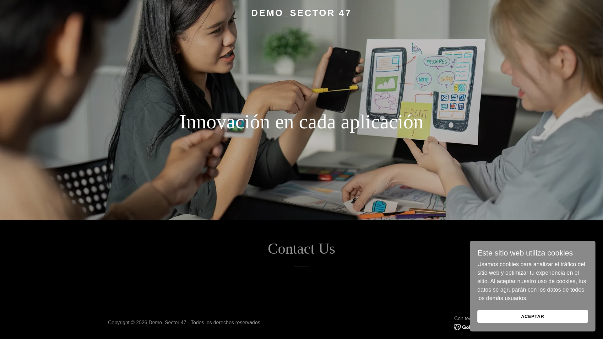 website screenshot of https://demosector47.com