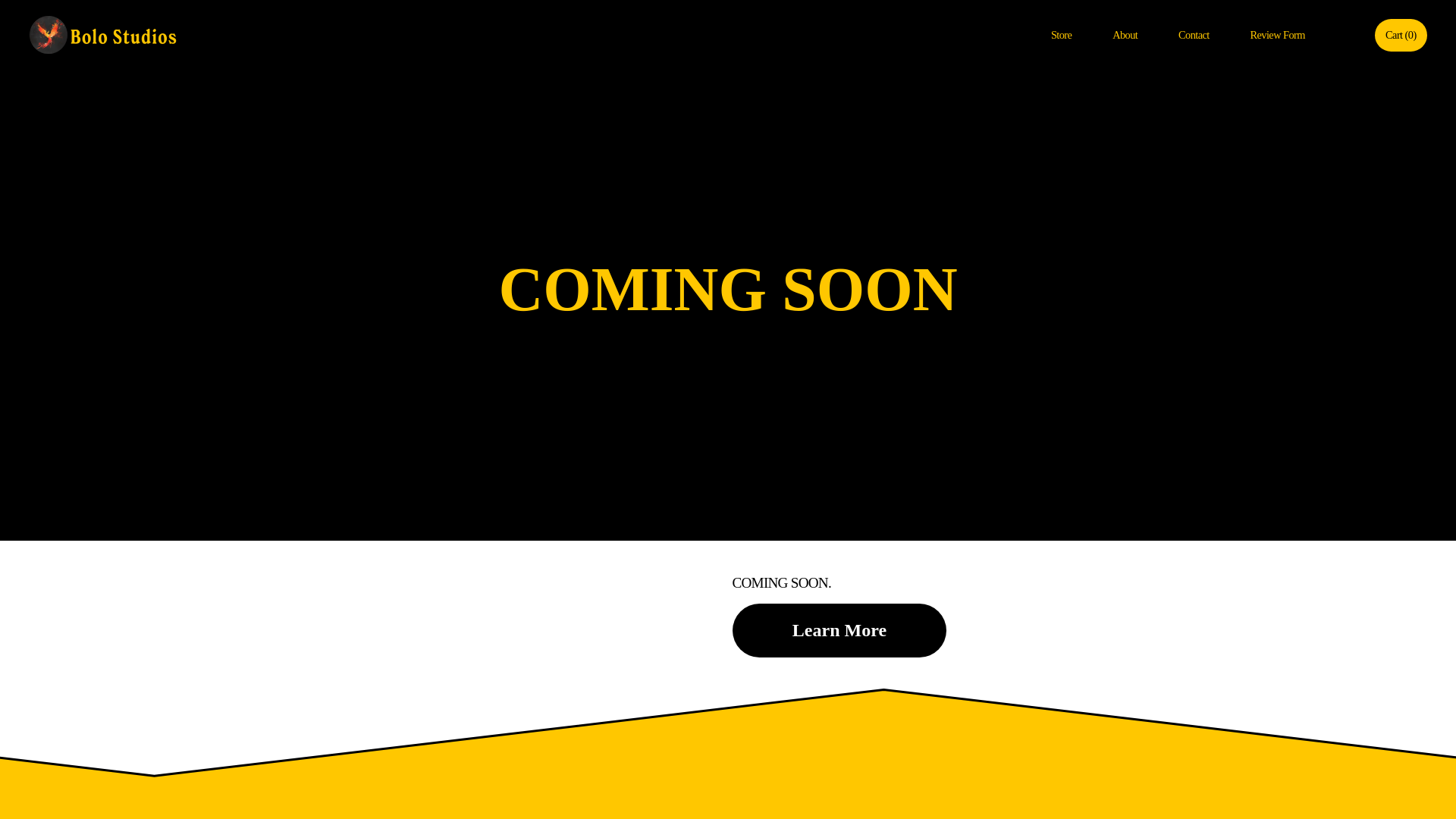 website screenshot of https://bolostudios.net/