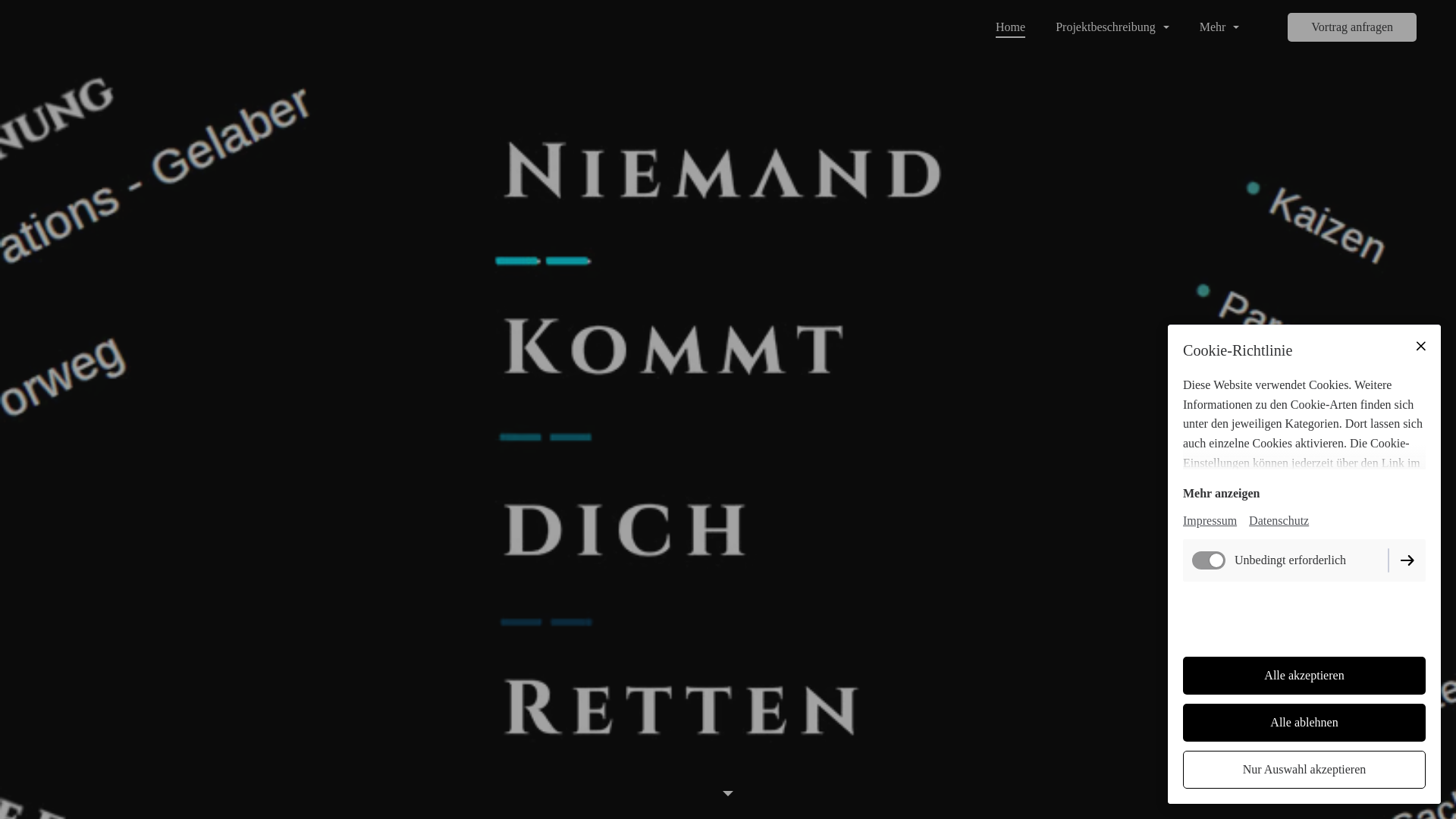 website screenshot of https://niemandkommtdichretten.at