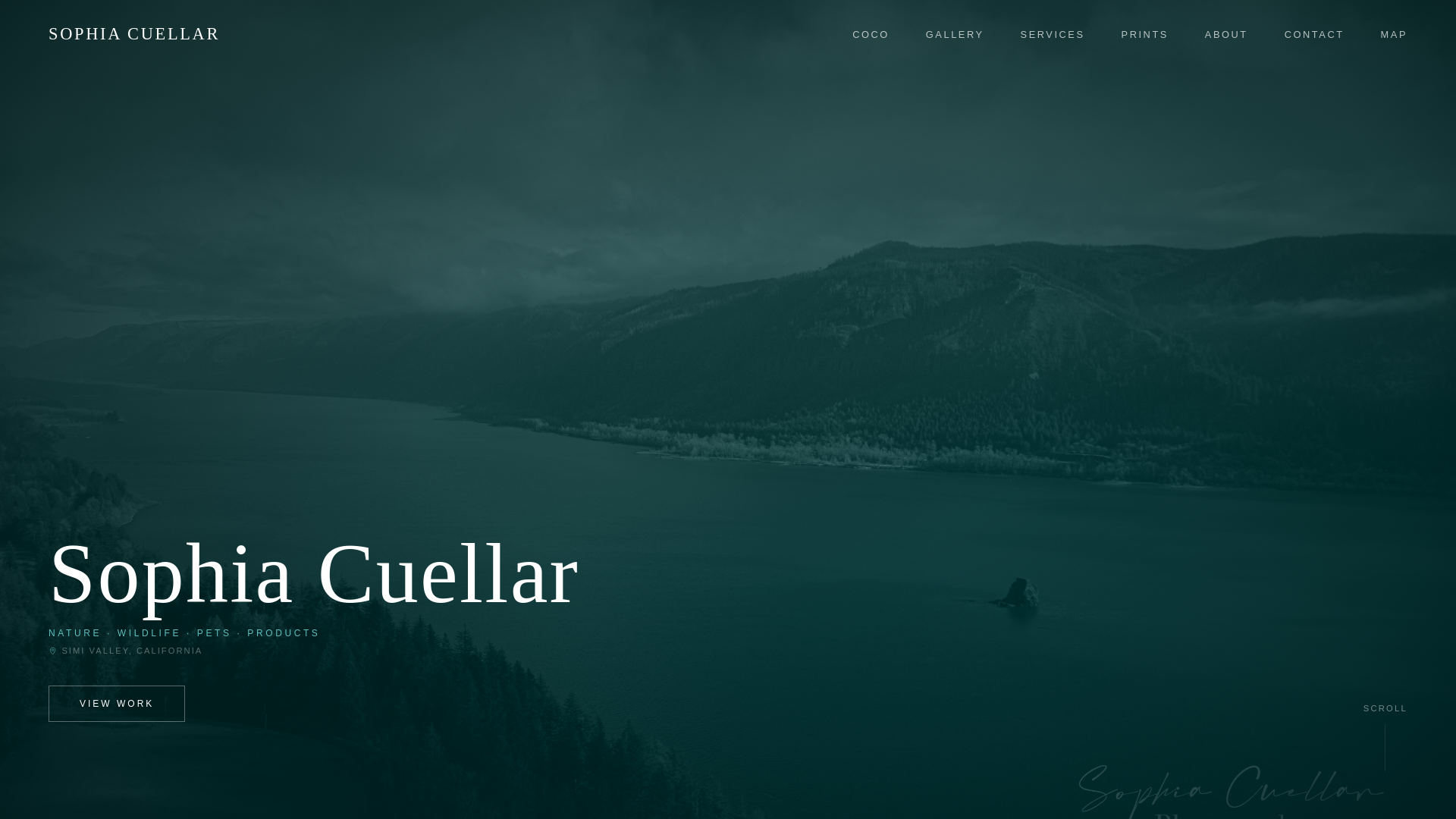 website screenshot of https://photographywebsite-25t.pages.dev/
