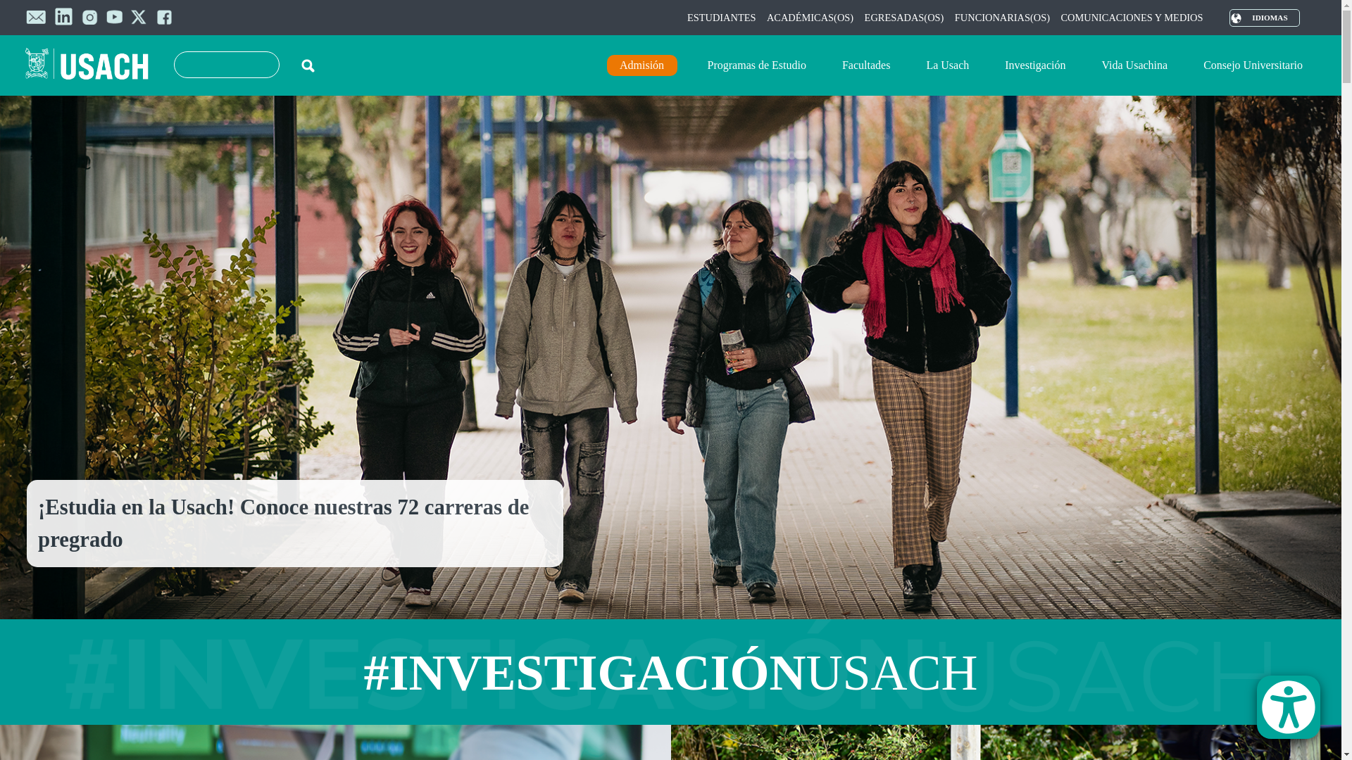 website screenshot of https://usach.cl/