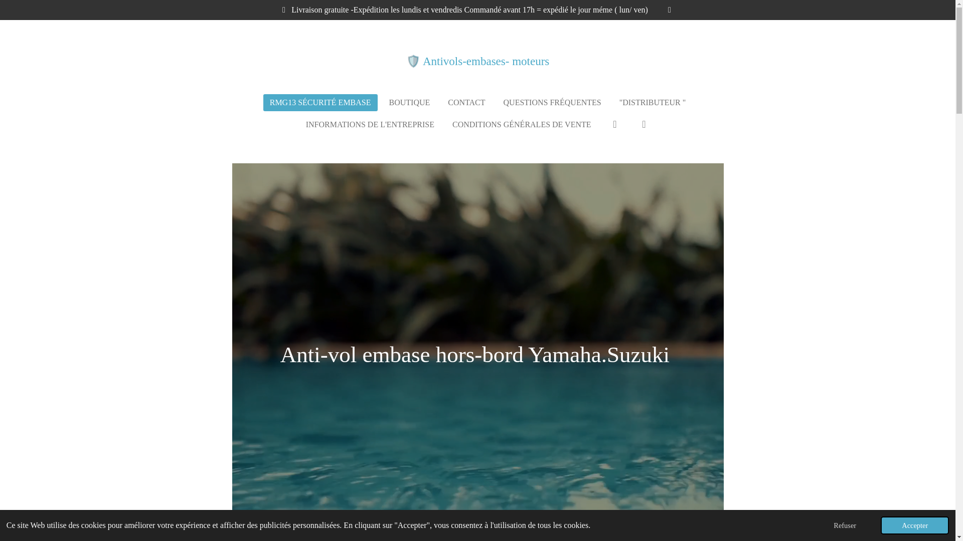 website screenshot of https://nauticmer.com/