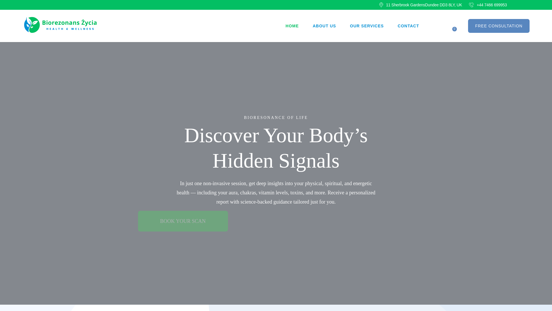 website screenshot of https://bioresonance.pl
