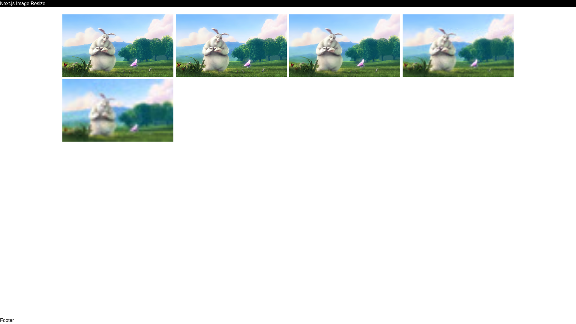 website screenshot of https://nextjs-image-resize.pages.dev/