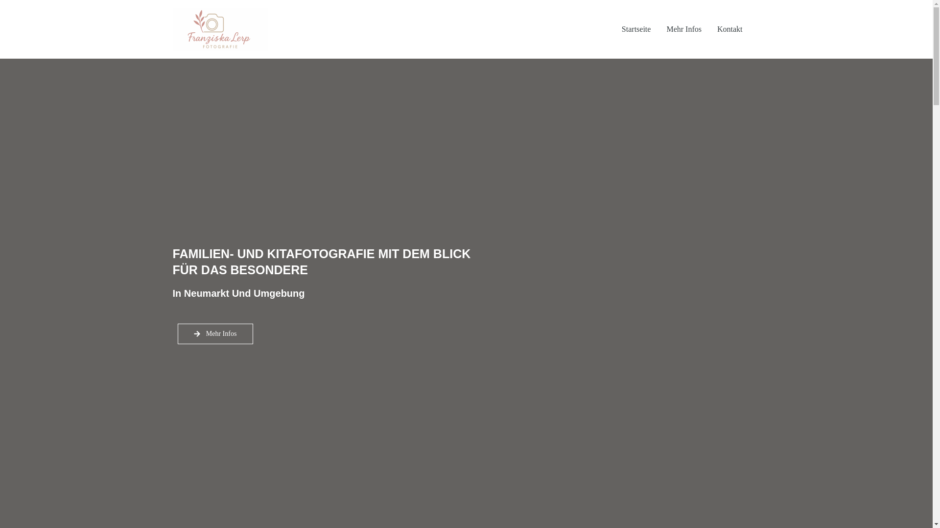 website screenshot of https://franziskalerp.de/