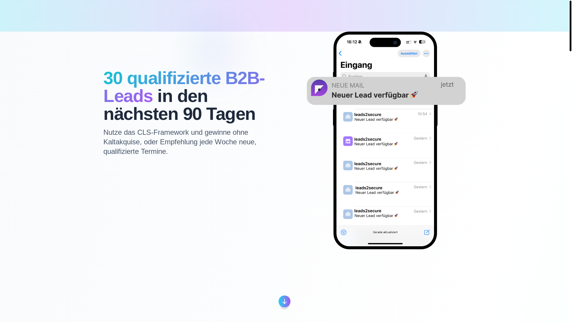 website screenshot of https://leads2secure.de/