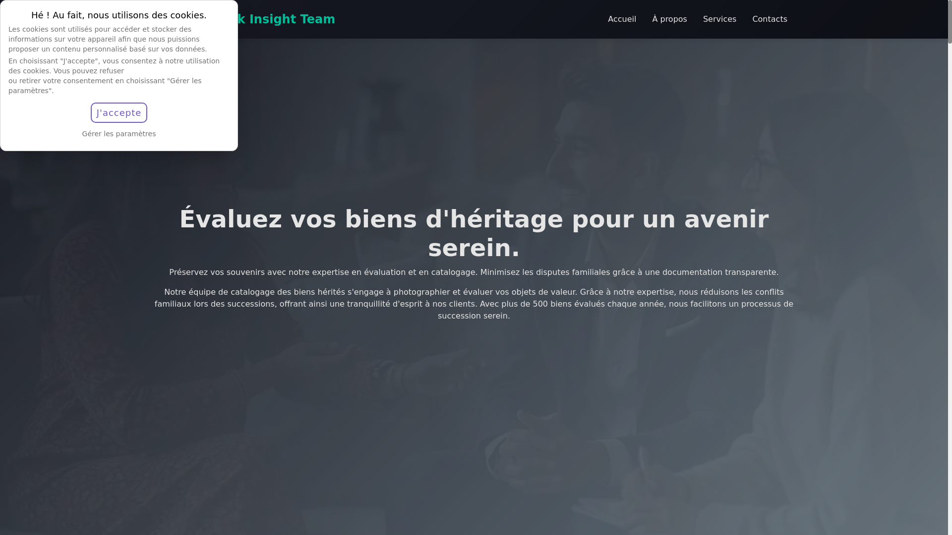 website screenshot of https://insightteamde.com/
