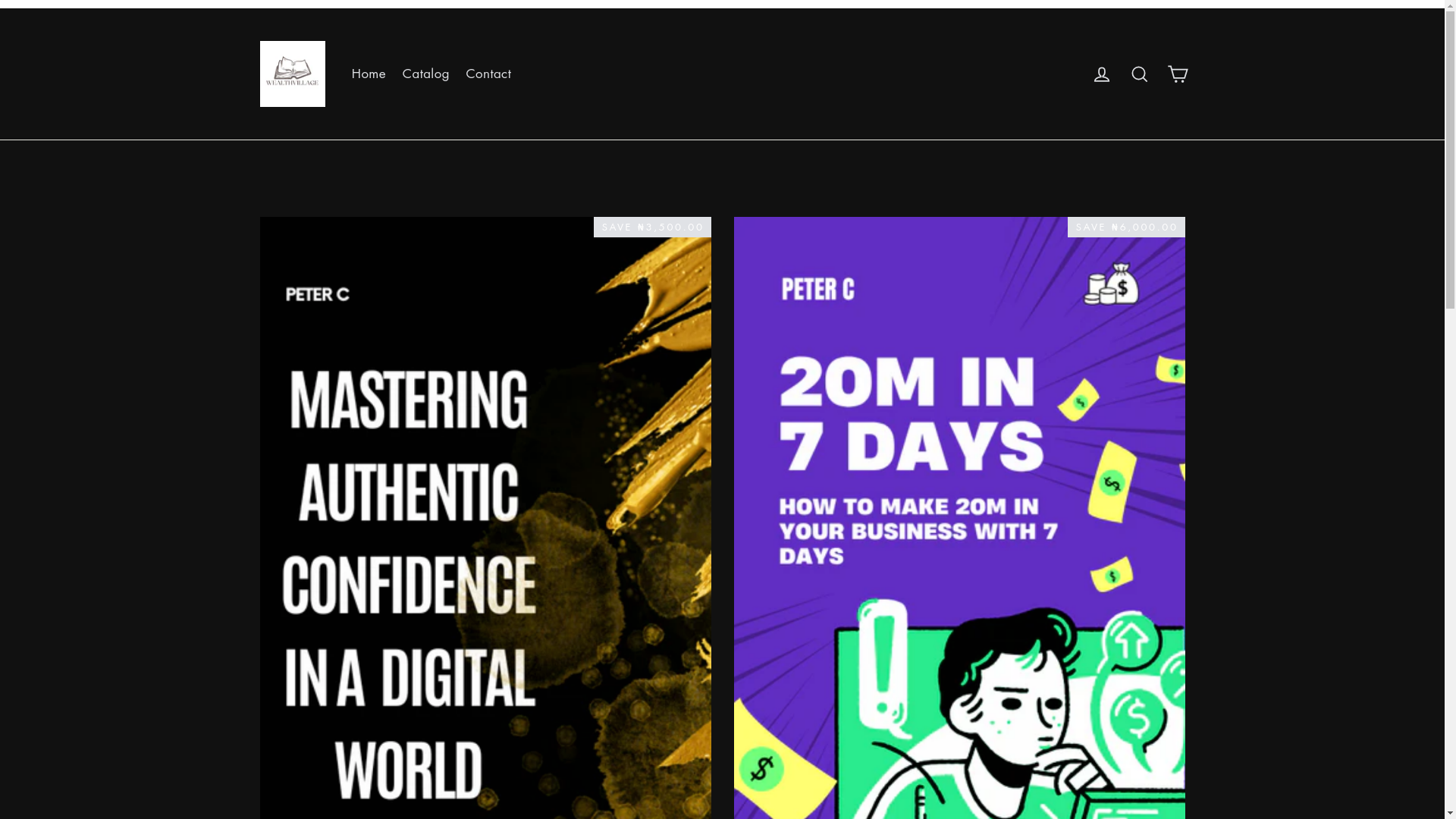 website screenshot of https://wealthvillage.org/